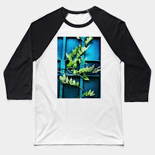 wisteria Baseball T-Shirt